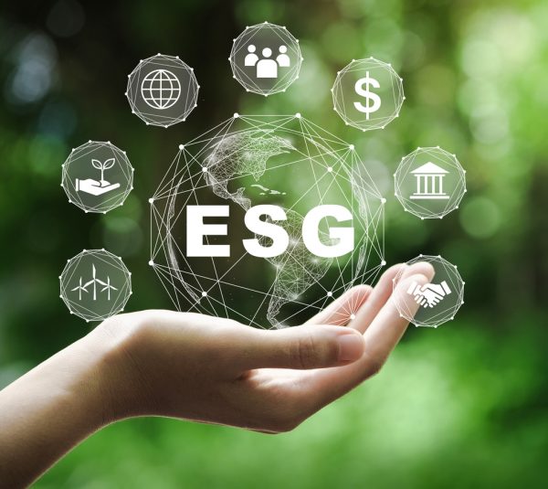 Introduction to ESG