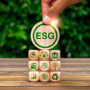 Environmental, social, and corporate governance (ESG), environment